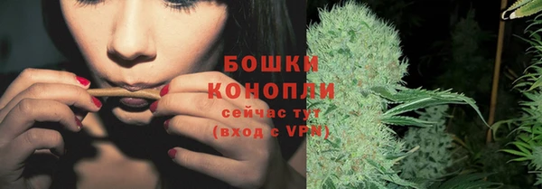 spice Аркадак