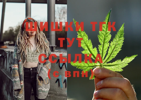 spice Аркадак