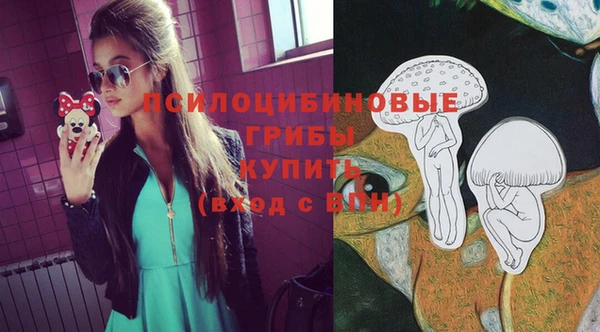 spice Аркадак