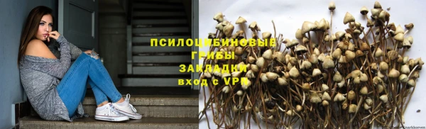 spice Аркадак